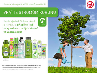 Vratte stromum korunu_FB_1200x900_stromy_new.jpeg 